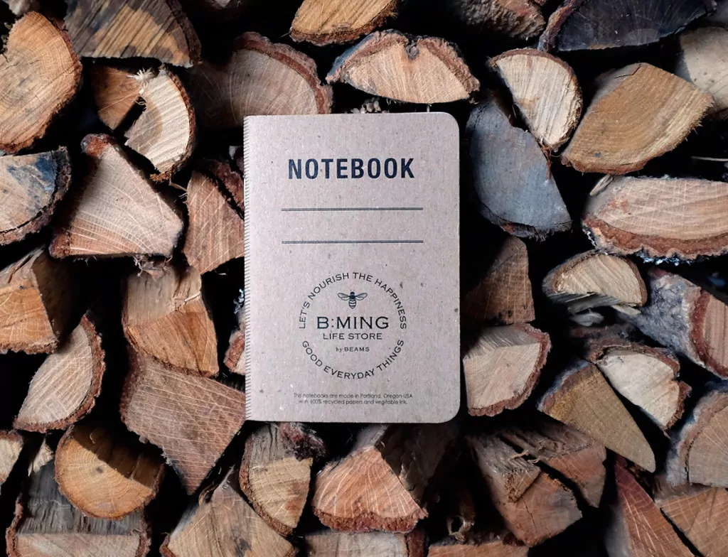 B MING Scout Books