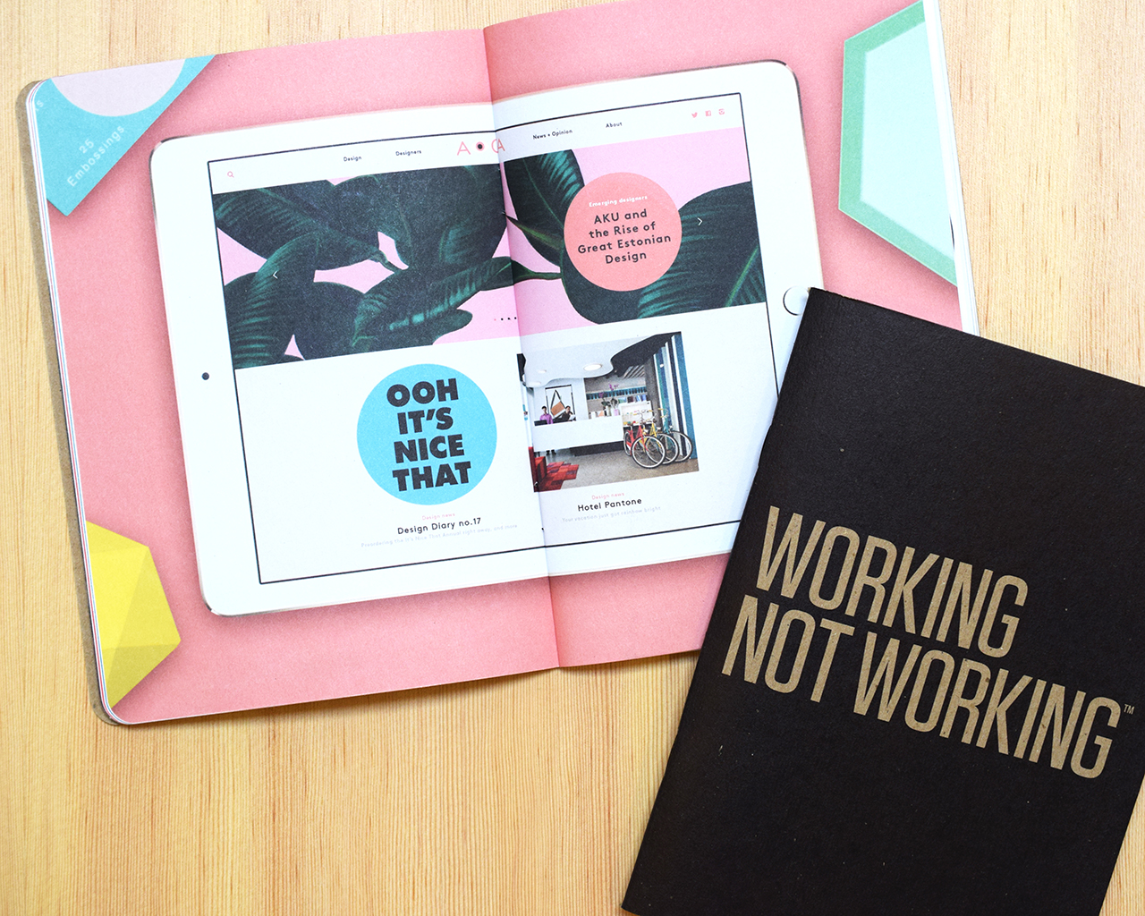 Working Not Working Scout Books