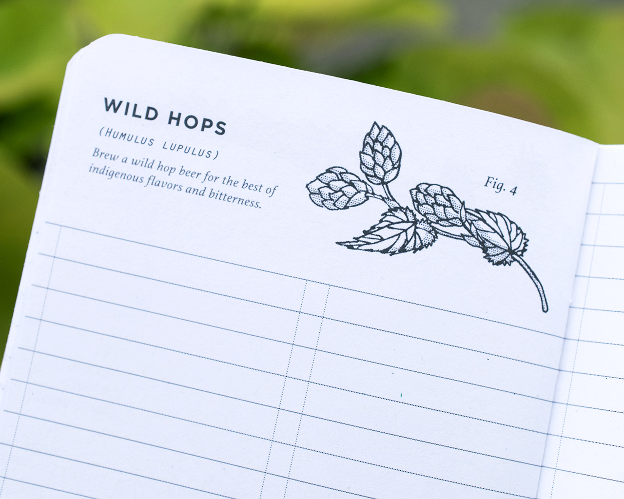 Beers Made By Walking Scout Books