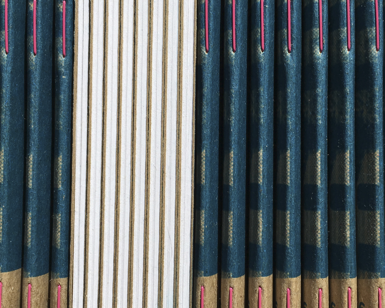 Flight Design Co. Scout Books