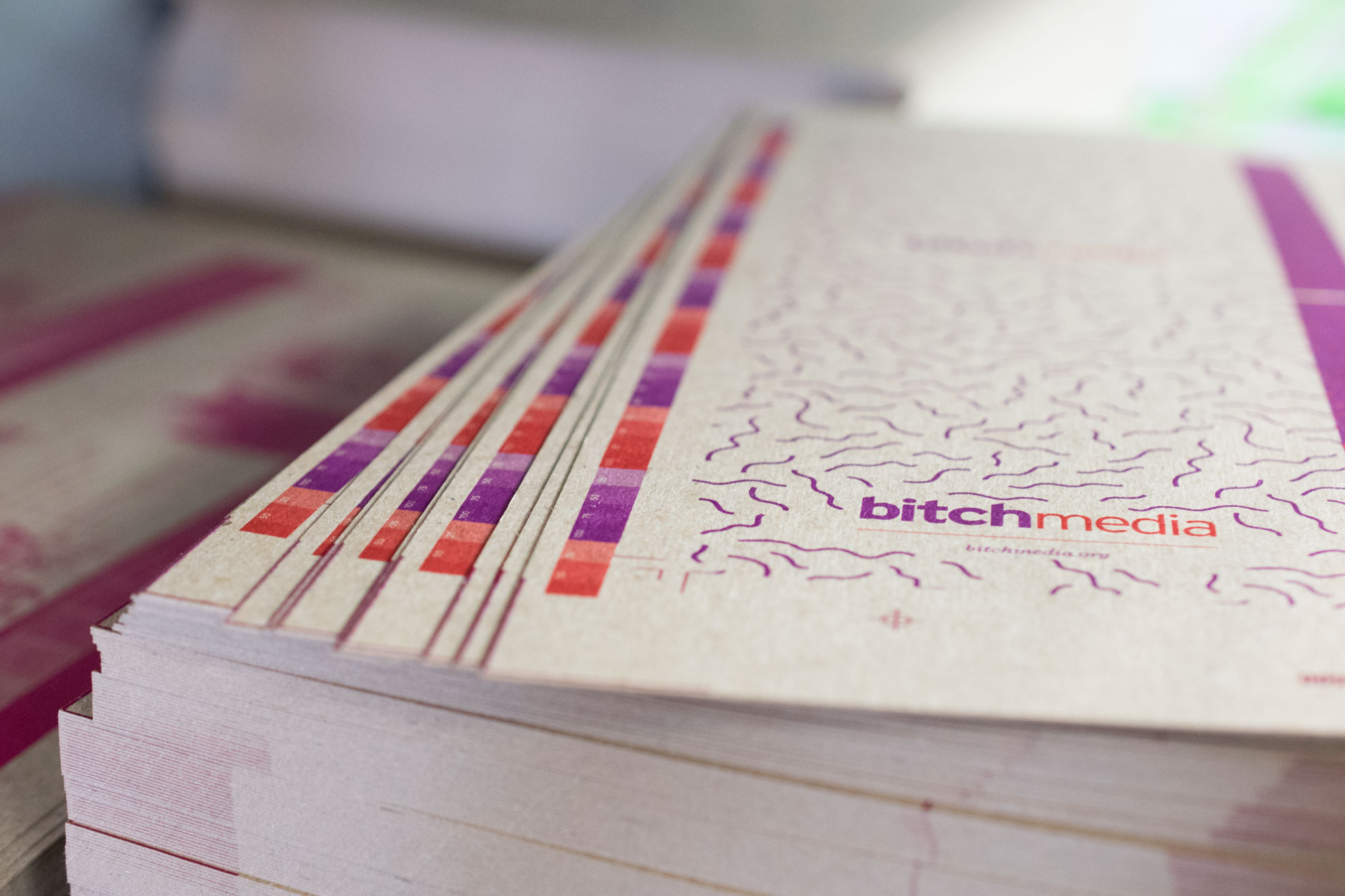 Bitch Media Scout Books