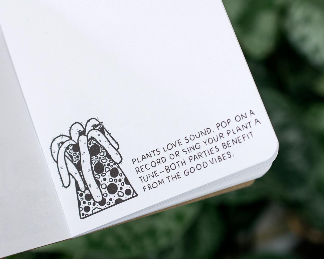 Alex DeSpain Scout Books