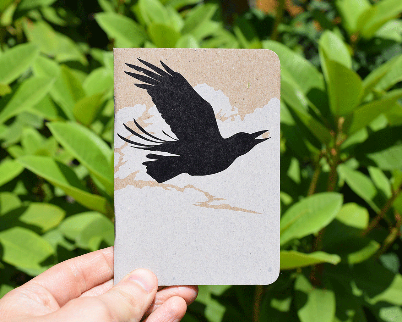 Scout Books White Ink Nikki McClure