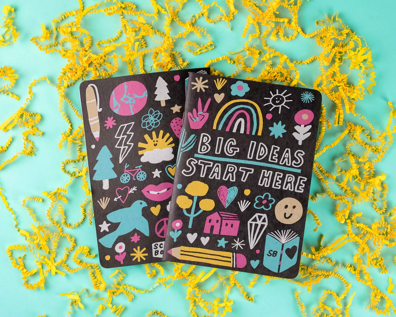 Big Ideas - Scout Books