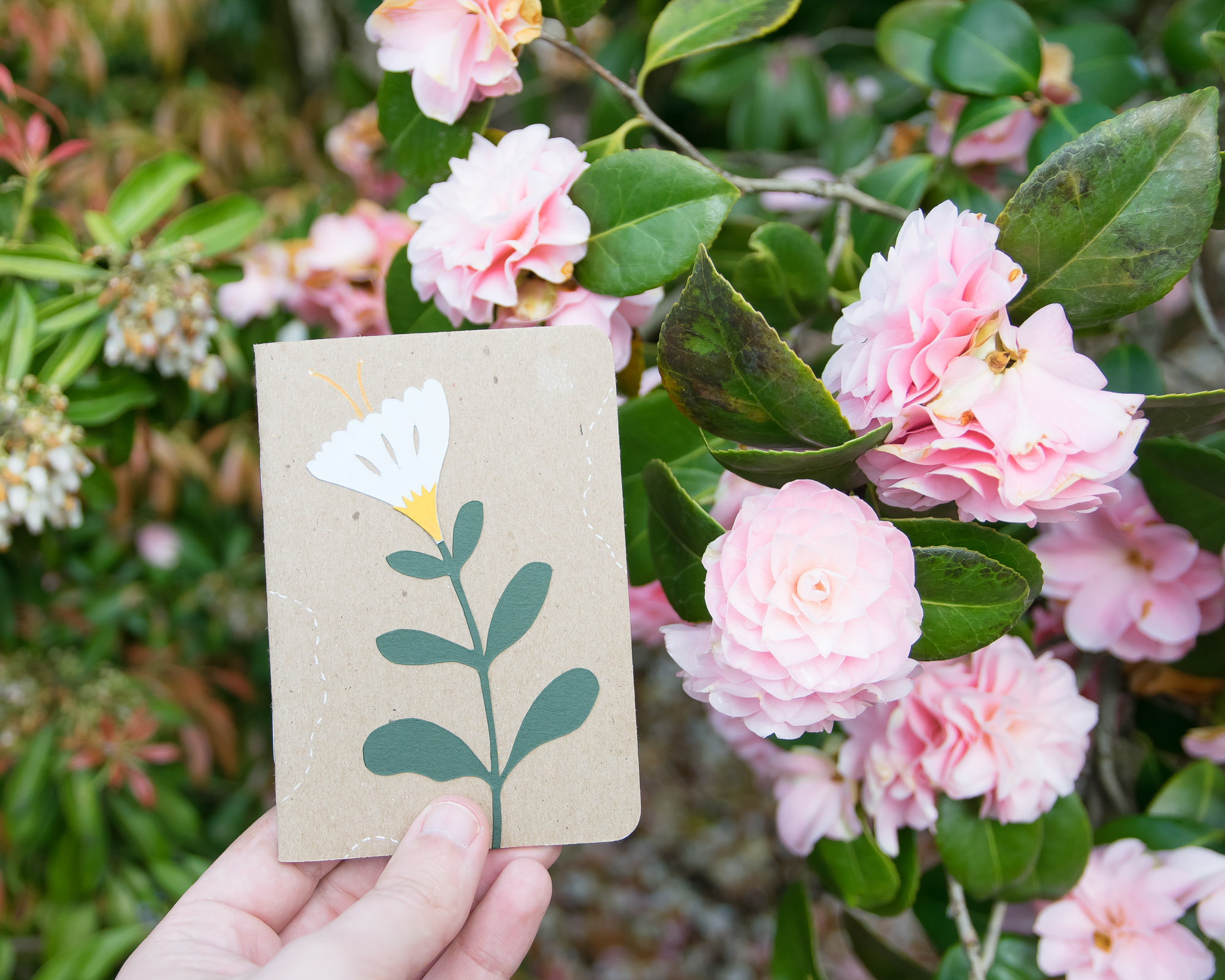 Earth Day - Scout Books