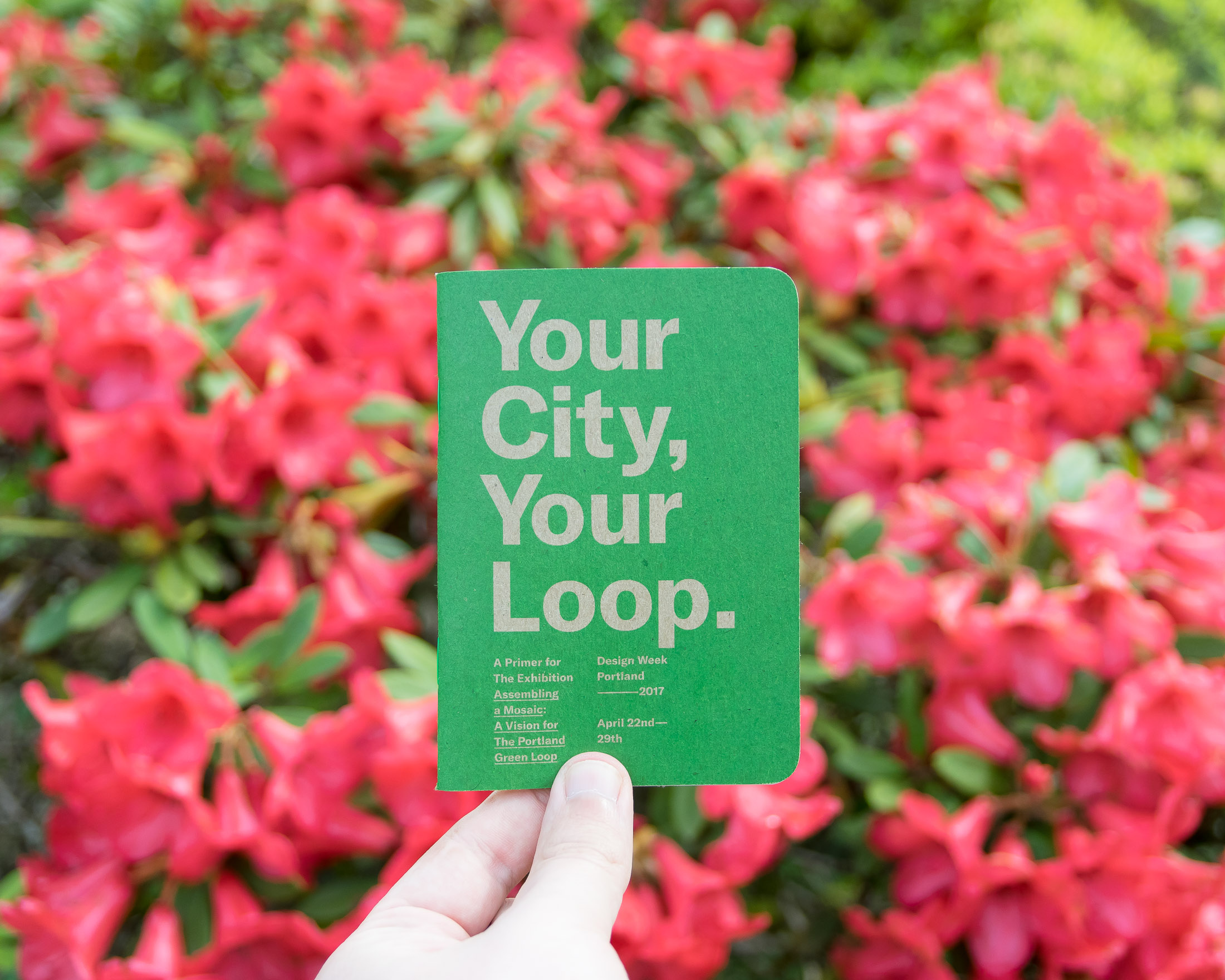 Earth Day - Scout Books