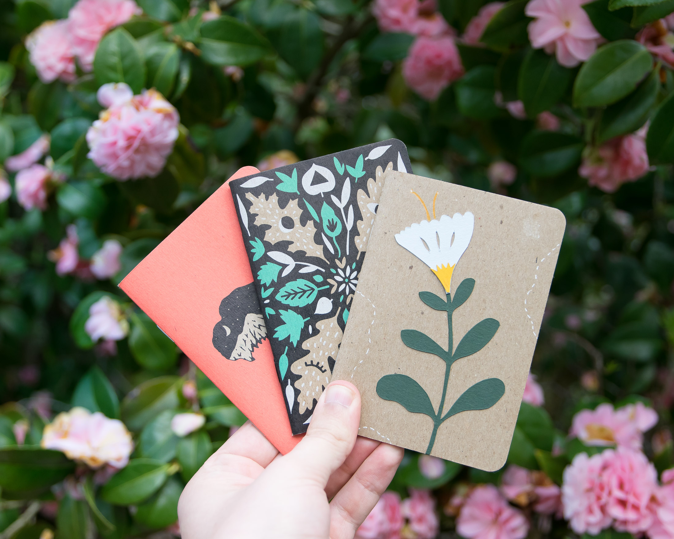 Earth Day - Scout Books