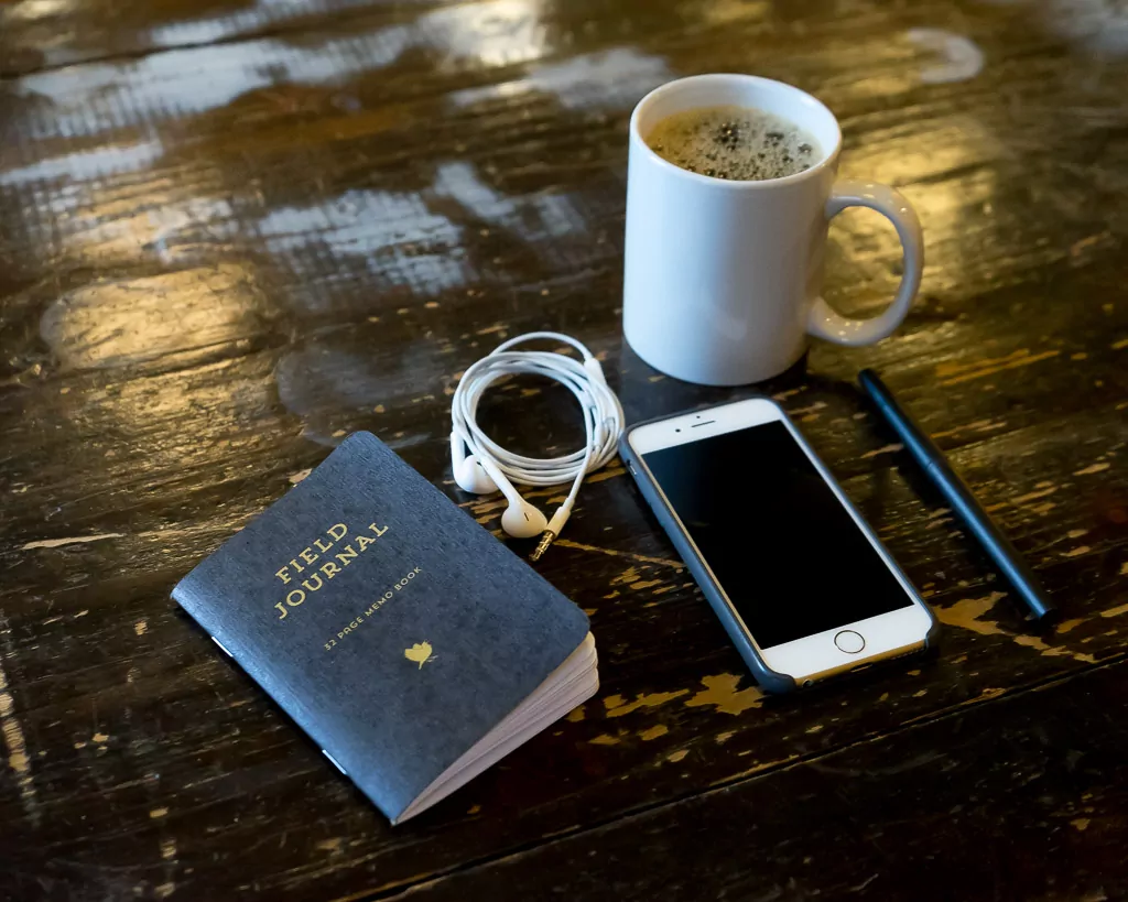 Lark Field Journal - Scout Books
