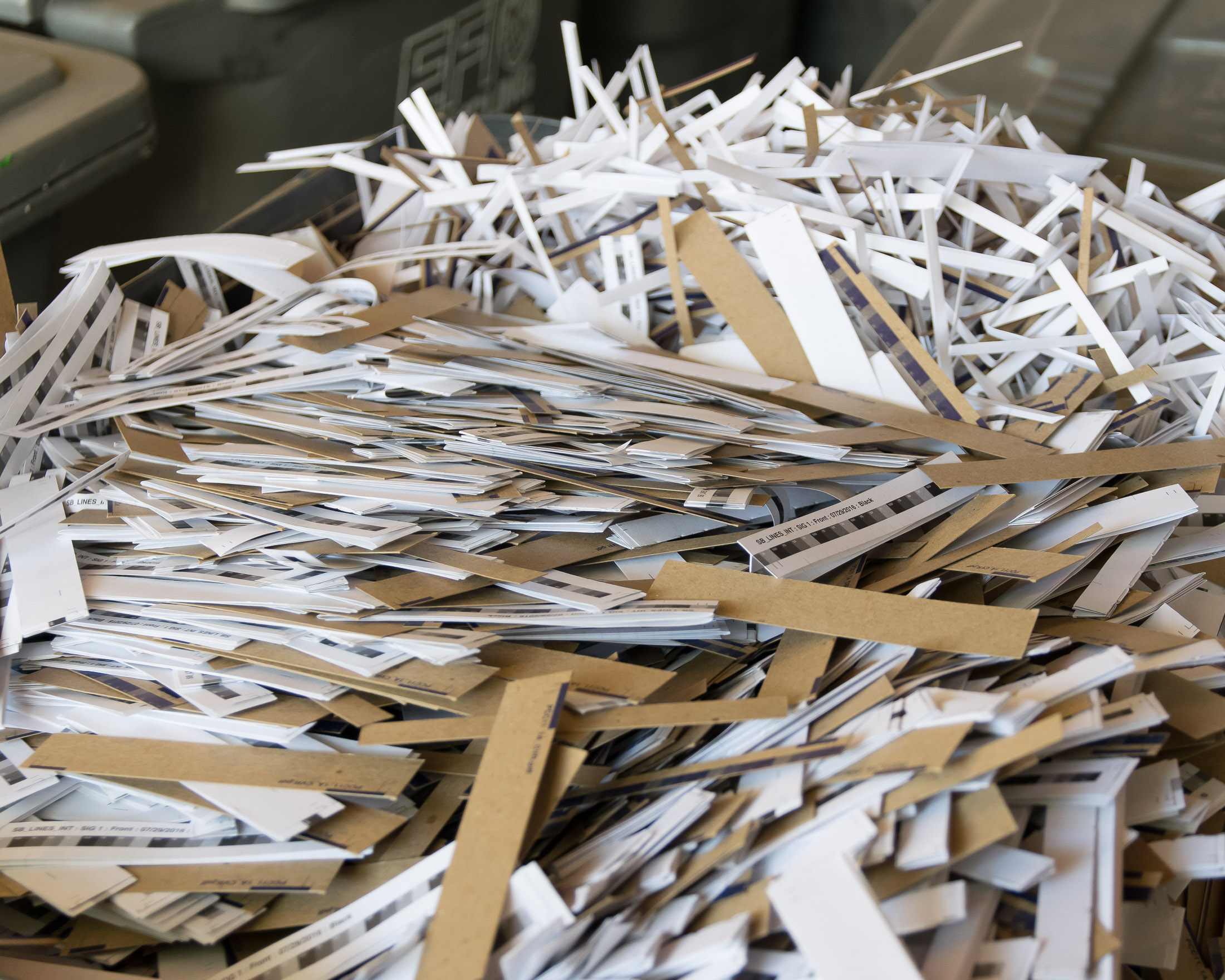 Recycling - Scout Books-0158