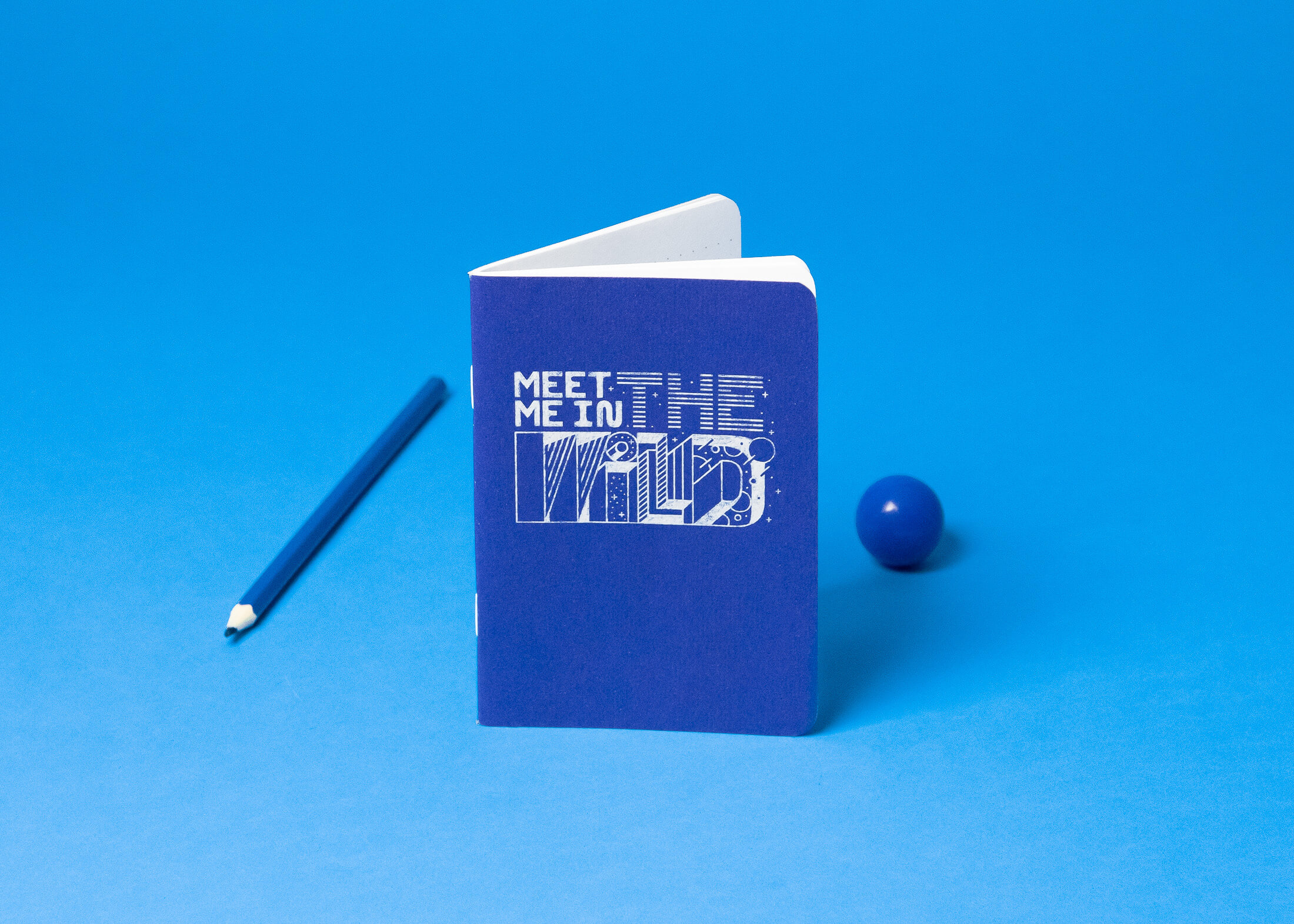 The Wild VR - Scout Books