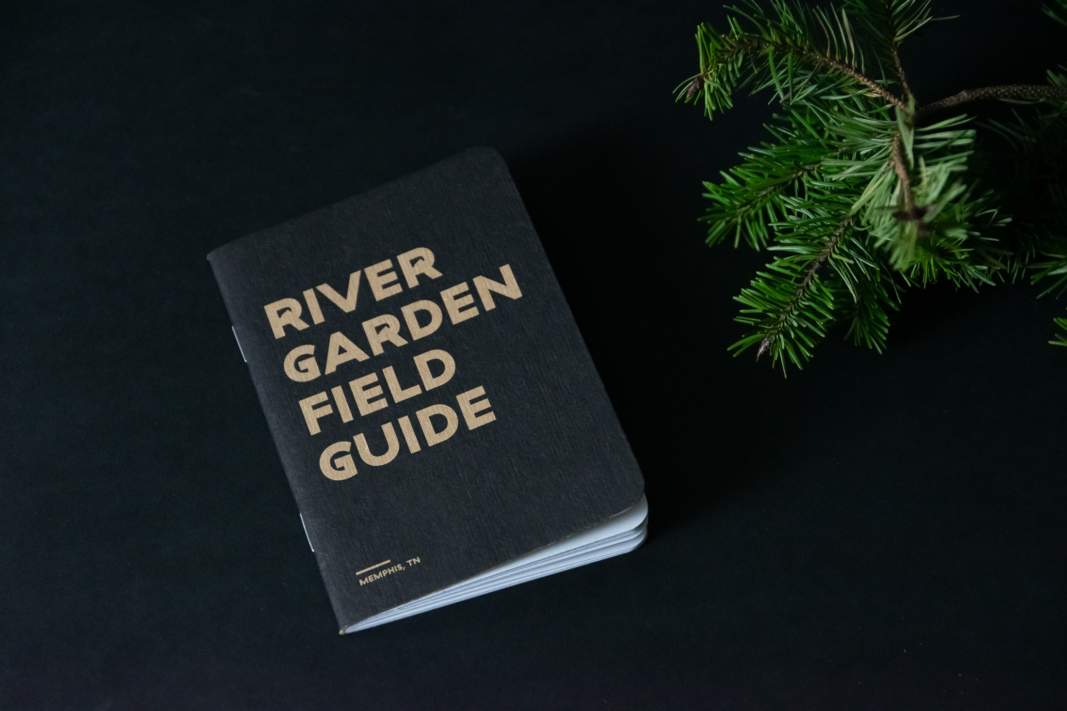 Memphis River Parks - Scout Books