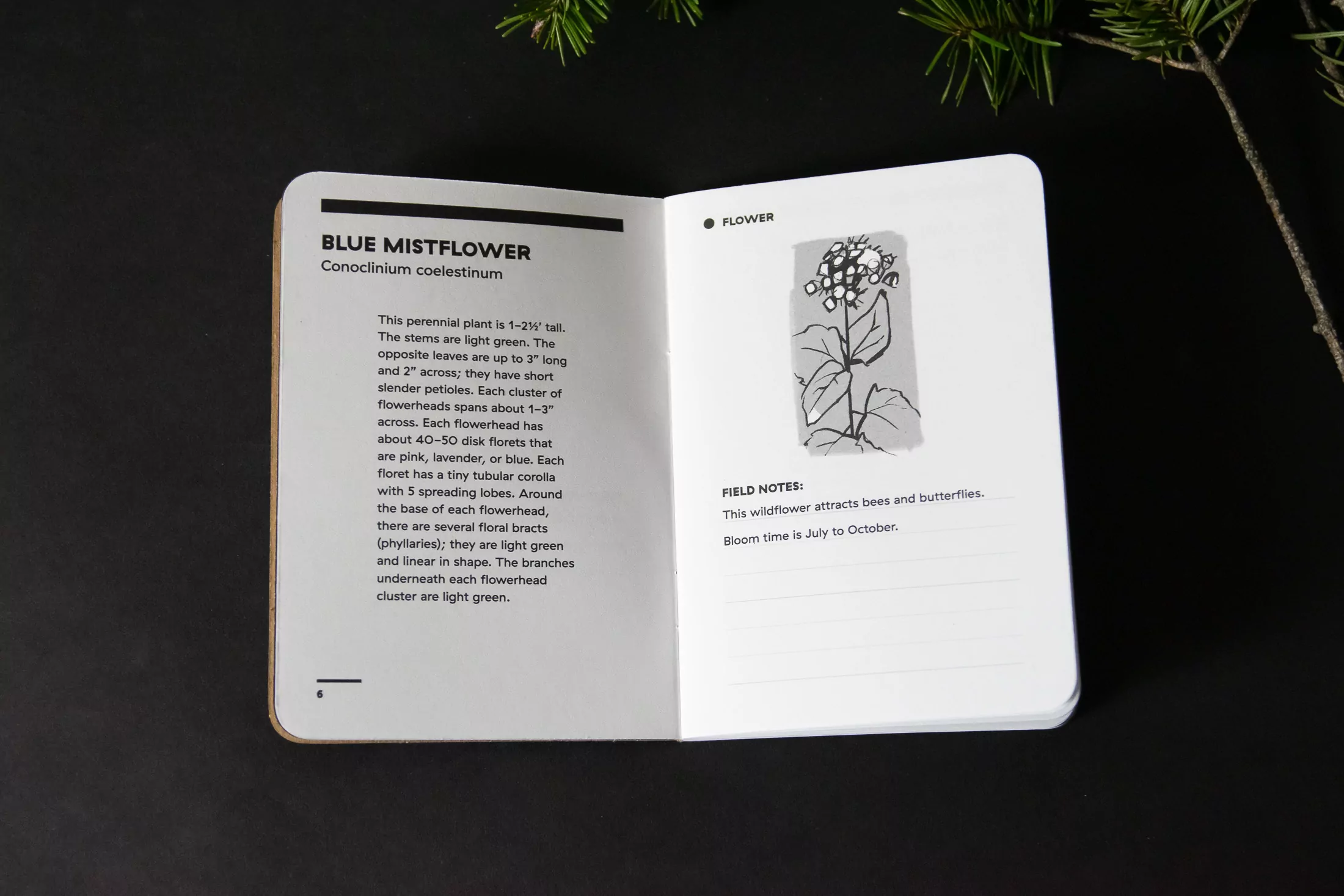 Memphis River Parks - Scout Books