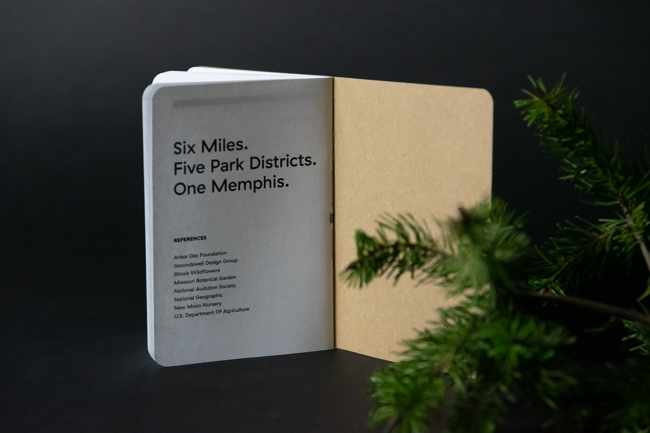 Memphis River Parks - Scout Books