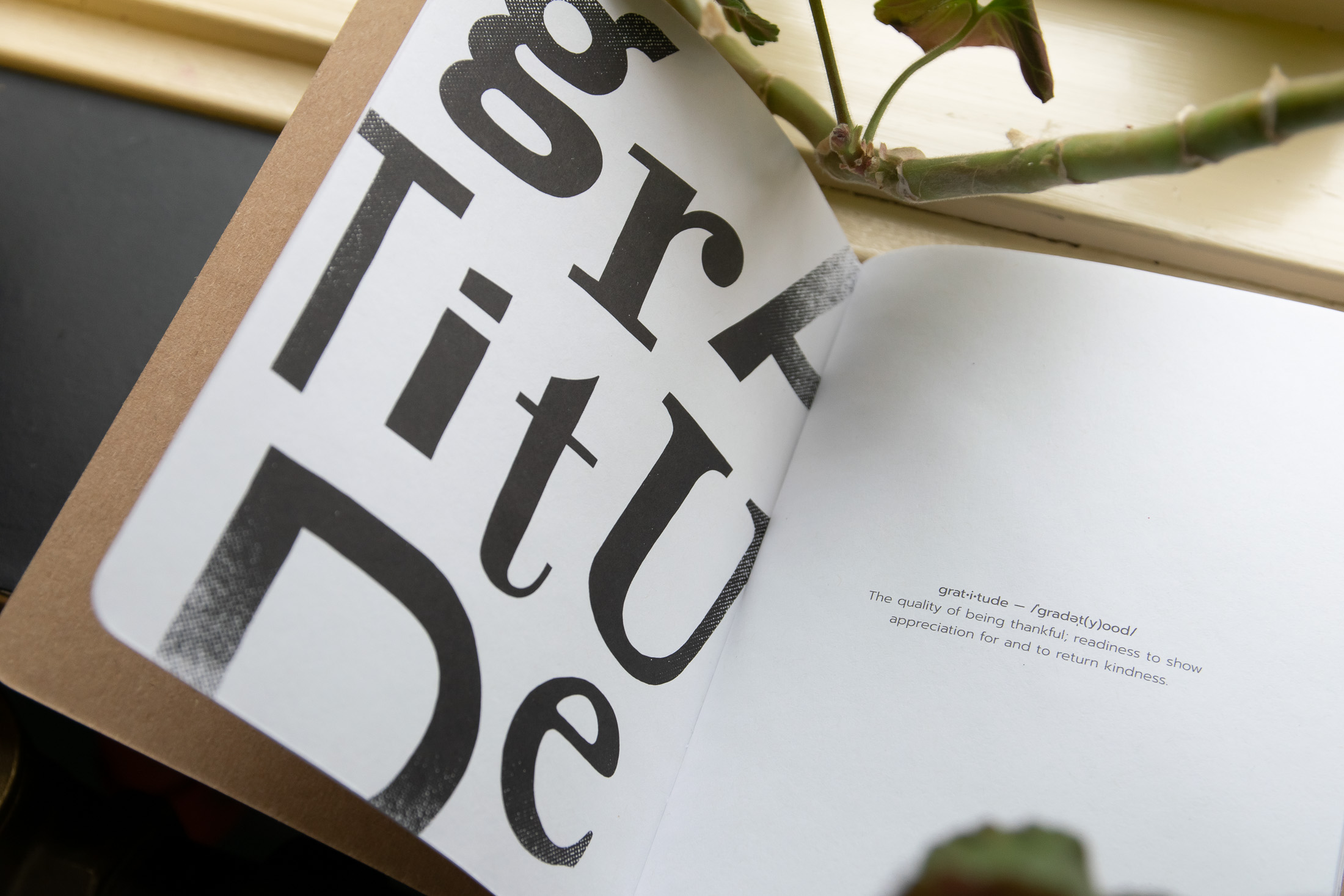 Serif Creative - Scout Books