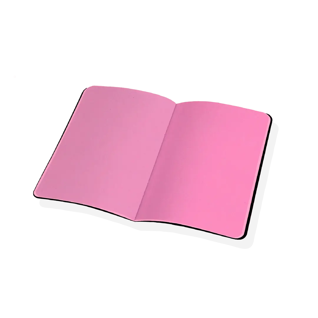 Scout Books Notebook Northern Lights Pink Pages