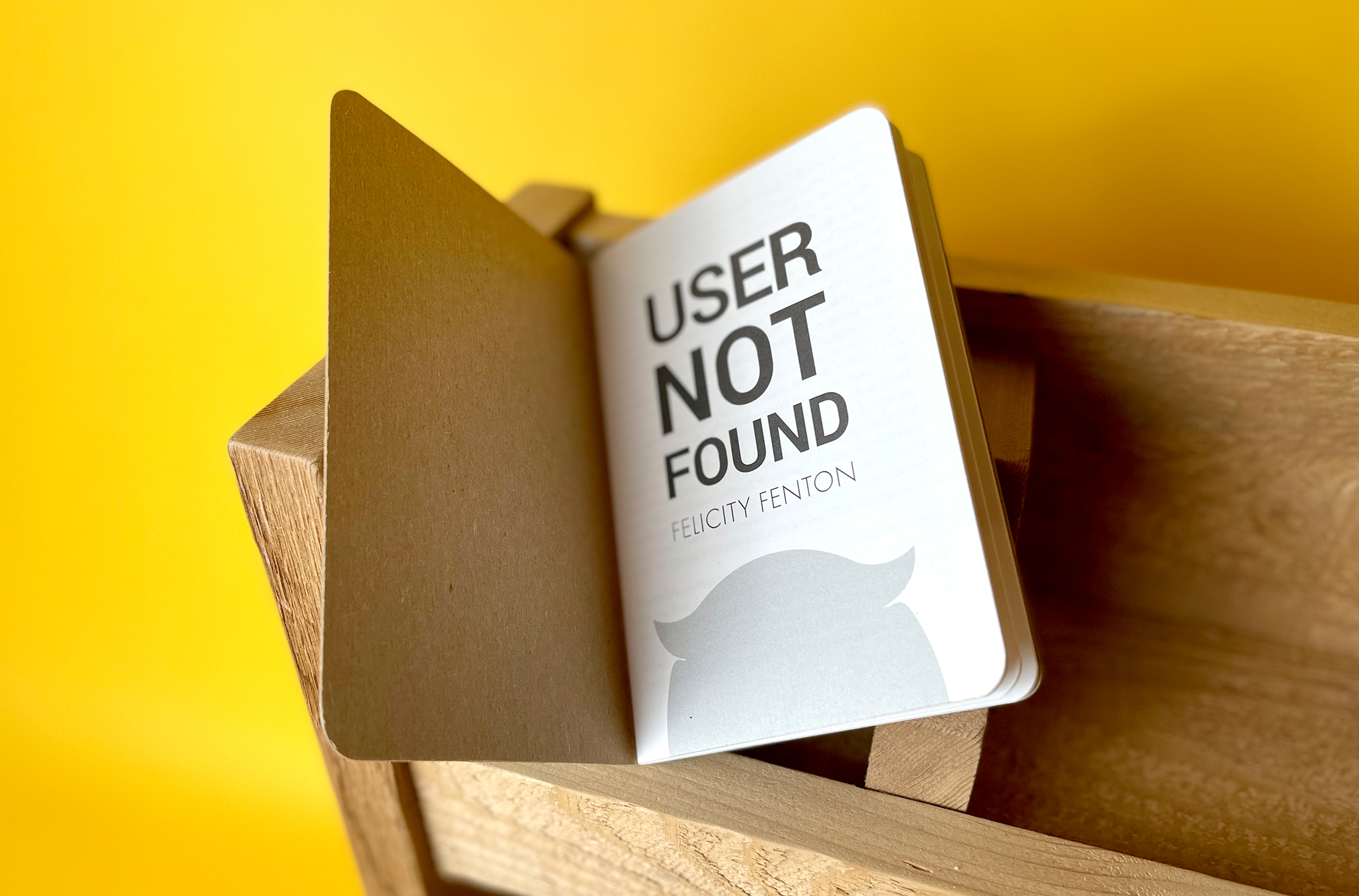 User Not Found #2